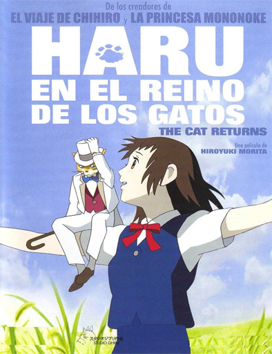 reinogato.jpg